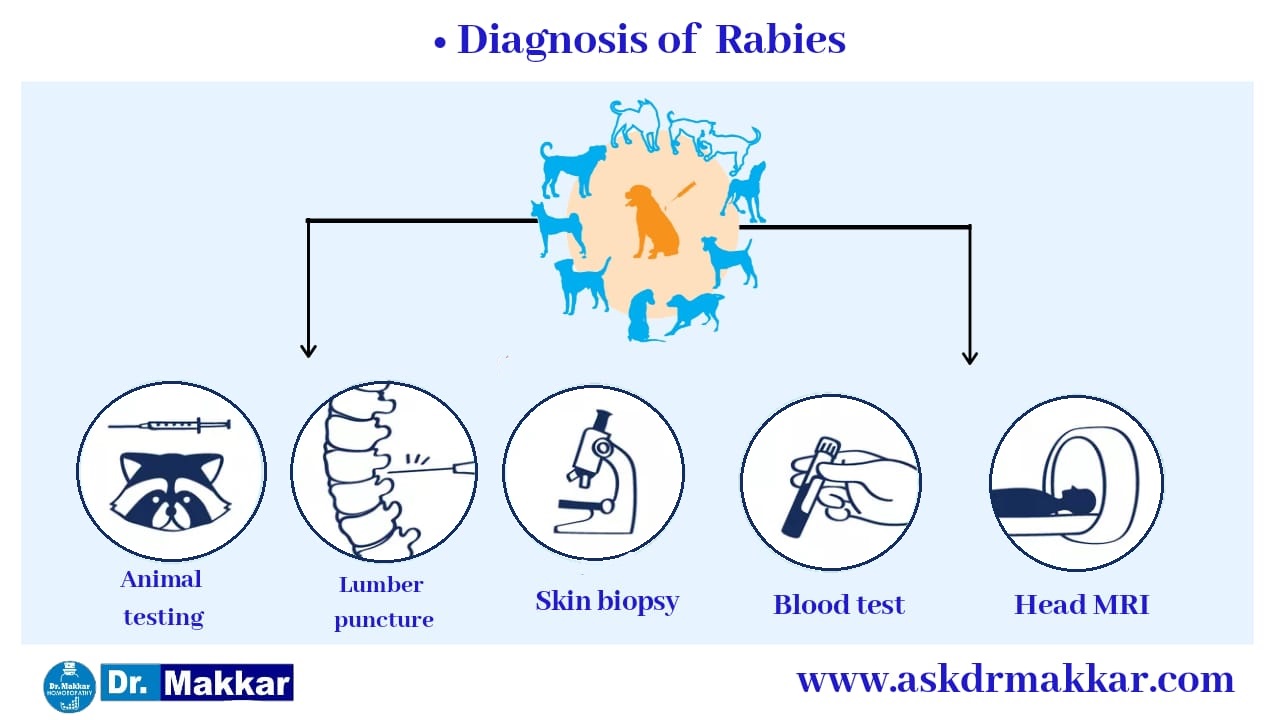 Homeopathy Treatment for Rabies. Homeopathic medicine approach Cause